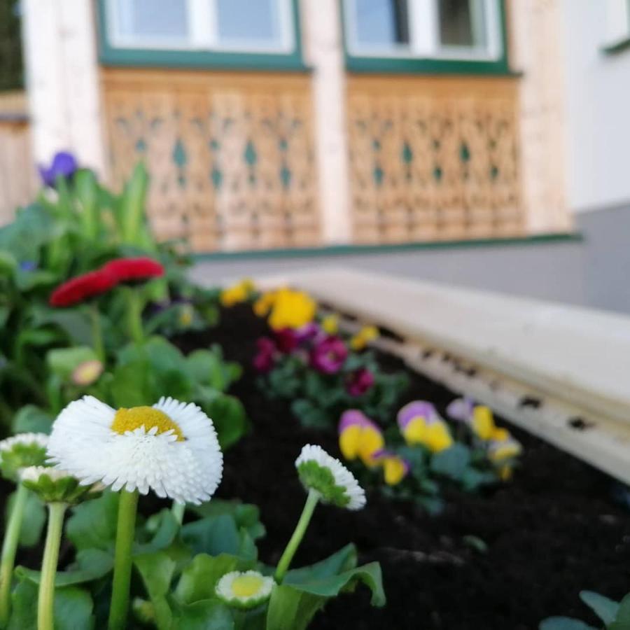 Ferienwohnungen Kalss Nahe Altaussee Bad Aussee Exterior photo